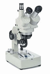 Euromex E series Microscope