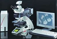 Leica DM6000B Microscope