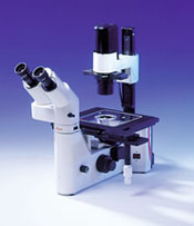 Leica DMIL Microscope