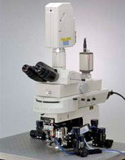Nikon FN1 Microscope