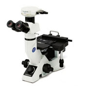 Olympus GX41 Microscope