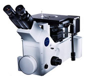 Olympus GX51 Microscope
