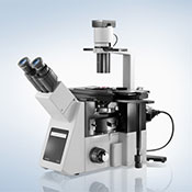 Olympus IX53 Microscope