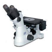 Nikon MA100 Microscope