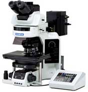 Olympus BX63 Microscope