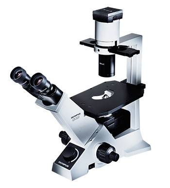 Olympus CKX31 Microscope