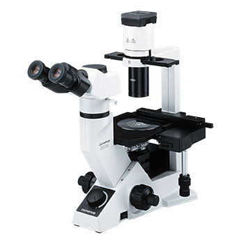Olympus CKX41 Microscope