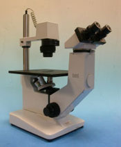 Hund Wilovert Microscope