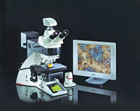 Leica DM6000M Microscope