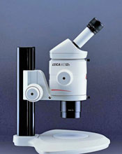 Leica MZ12.5 Microscope