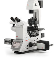 Leica DMi8 Microscope