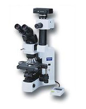 Olympus BX41 Microscope