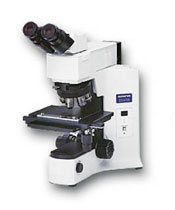 Olympus BX41M Microscope