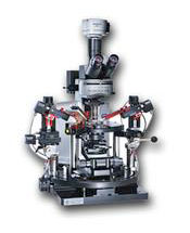 Olympus BX51WI Microscope
