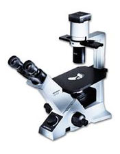 Olympus CX31 Microscope