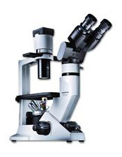 Olympus CKX41 Microscope