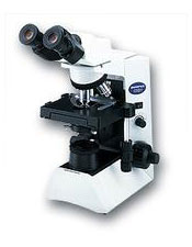 Olympus CX31 Microscope