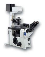 Olympus IX71 Microscope