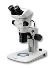 Olympus SZX7 Microscope