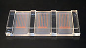 Three Chambered McMaster slide with imprinted grid