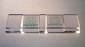 Two Chambered McMaster slide with imprinted grid