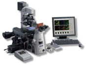 Nikon Ti Series Microscope