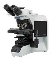 Olympus BX43 Microscope