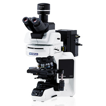 Olympus BX53 Microscope