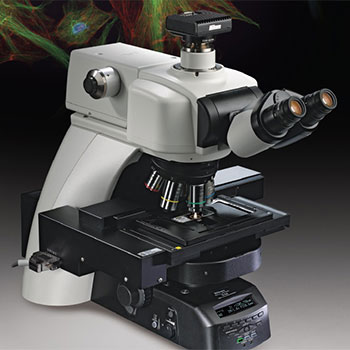 Nikon Ni-E Microscope