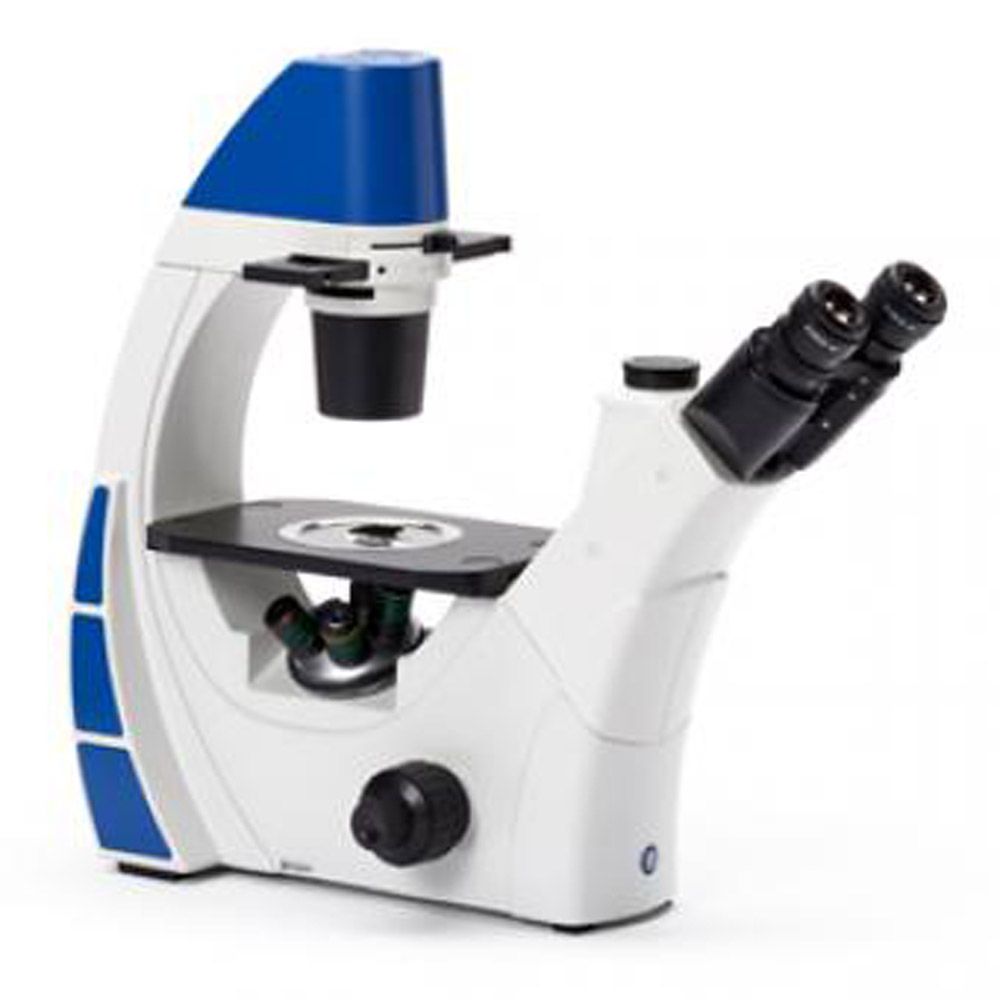 Euromex E Series Microscope