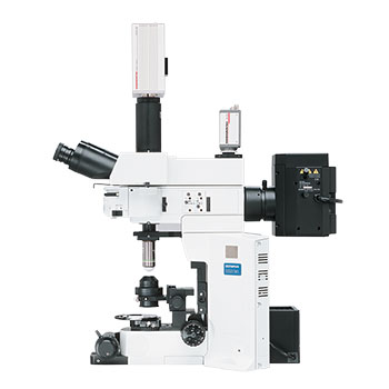 Olympus BX51W1 Microscope