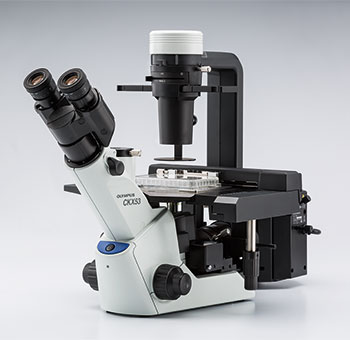 Olympus CKX53 Microscope