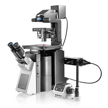 Olympus IX83 Microscope