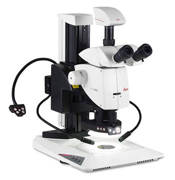 Leica M205C Microscope