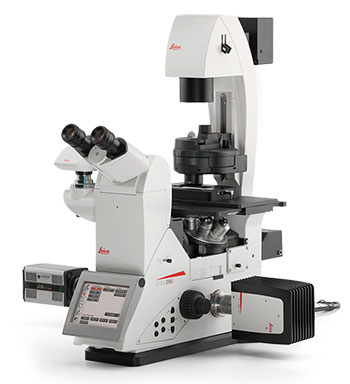 Leica DMi8 Microscope