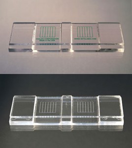 Two Chambered McMaster slide with imprinted grid