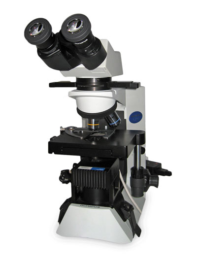 Olympus CX31 Microscope