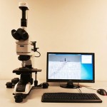 T10 Microscope system