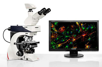 Leica DM2500-LED Microscope